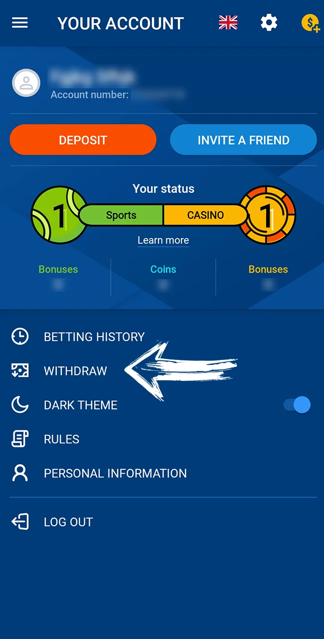 Access the cashier on official Mostbet website.