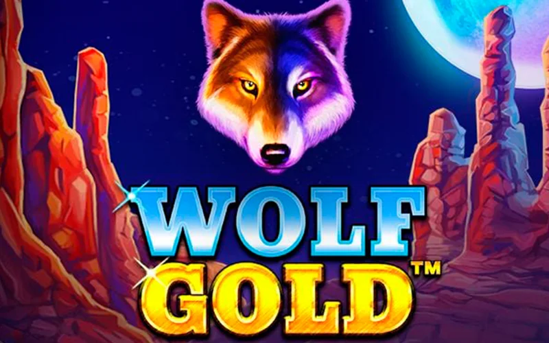 Try Wolf Gold at official Mostbet casino.